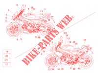 Plate set and decal voor Aprilia Tuono V4 1100 RR Euro 4 ABS 2019