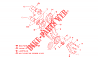 Front cylinder timing system voor Aprilia SL Falco 2000