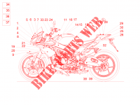 Plate set and decal voor Aprilia Tuono V4 Factory 2016