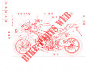 Plate set and decal voor Aprilia Tuono V4 RR 2016